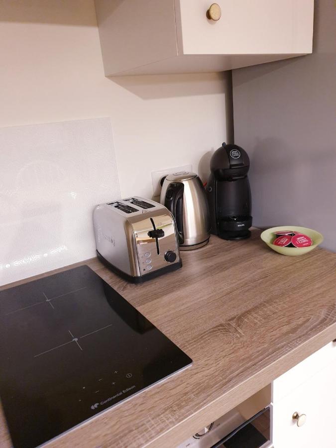 Paul Janet Apartment Grenoble Ngoại thất bức ảnh