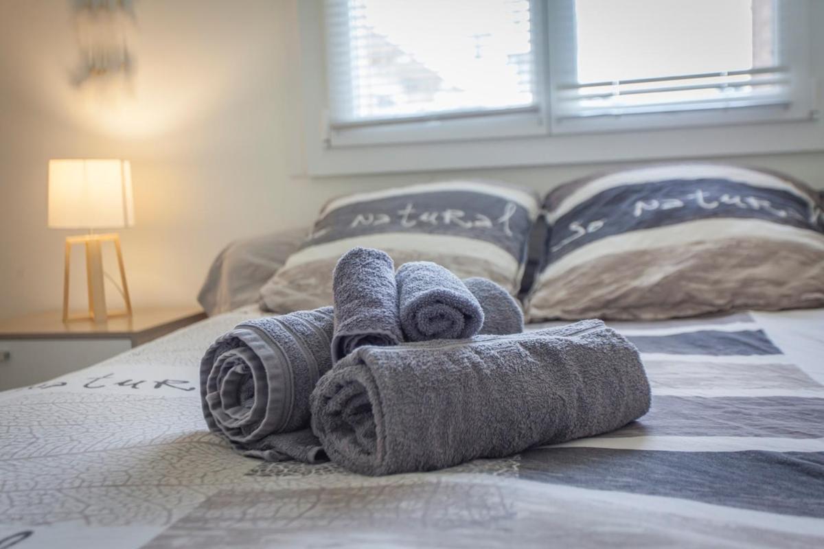 Paul Janet Apartment Grenoble Ngoại thất bức ảnh